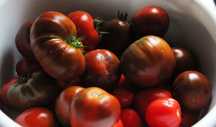 Der kom også nogle store bøftomater i tomatsaucen.