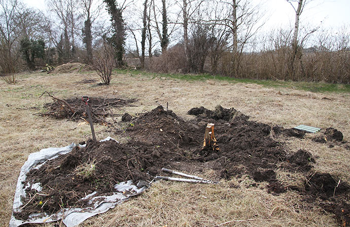 Tjørnen krævede noget større gravearbejde end den stub, vi fjernede i går - det kan ses i baggrunden
