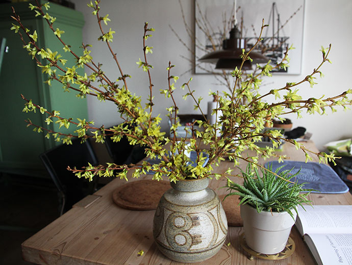 Påske i stuen med en buketforsythiagrene