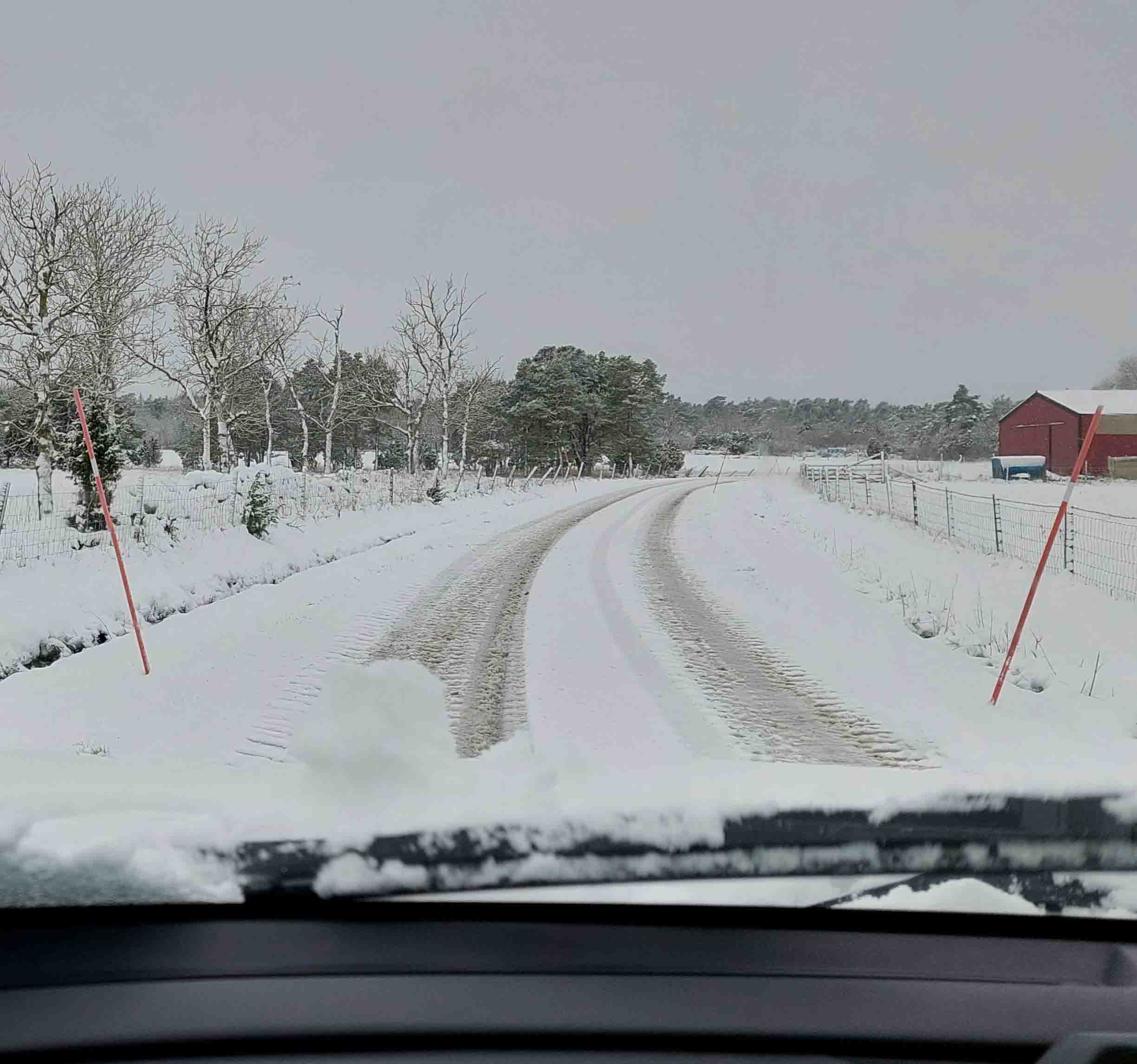 Vintrigt författarmöte i Rute