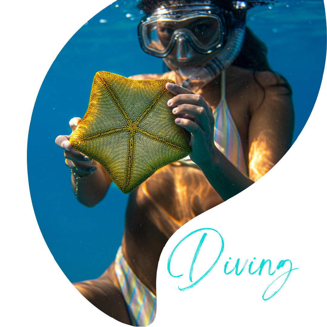 Diving Blog