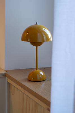 Katharina Schillinger