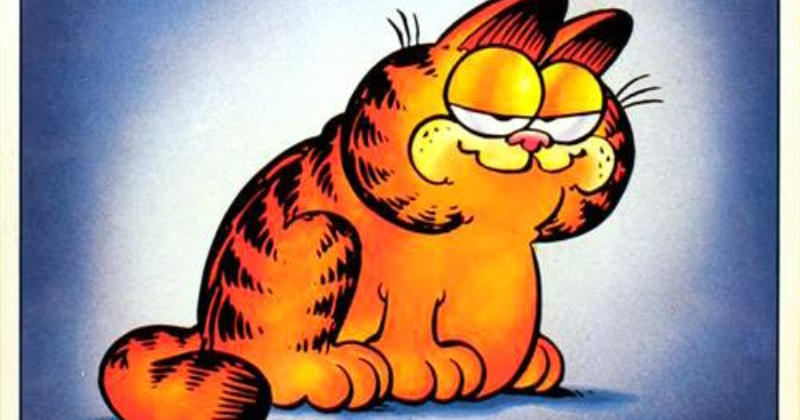 Pensum: Garfield – Den Lede Hankat