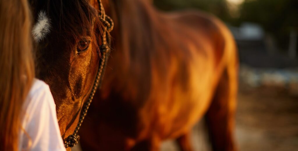 Ahnenheilung und Epigenetik Energiemedizin. - Katja Barnasiow Pereira