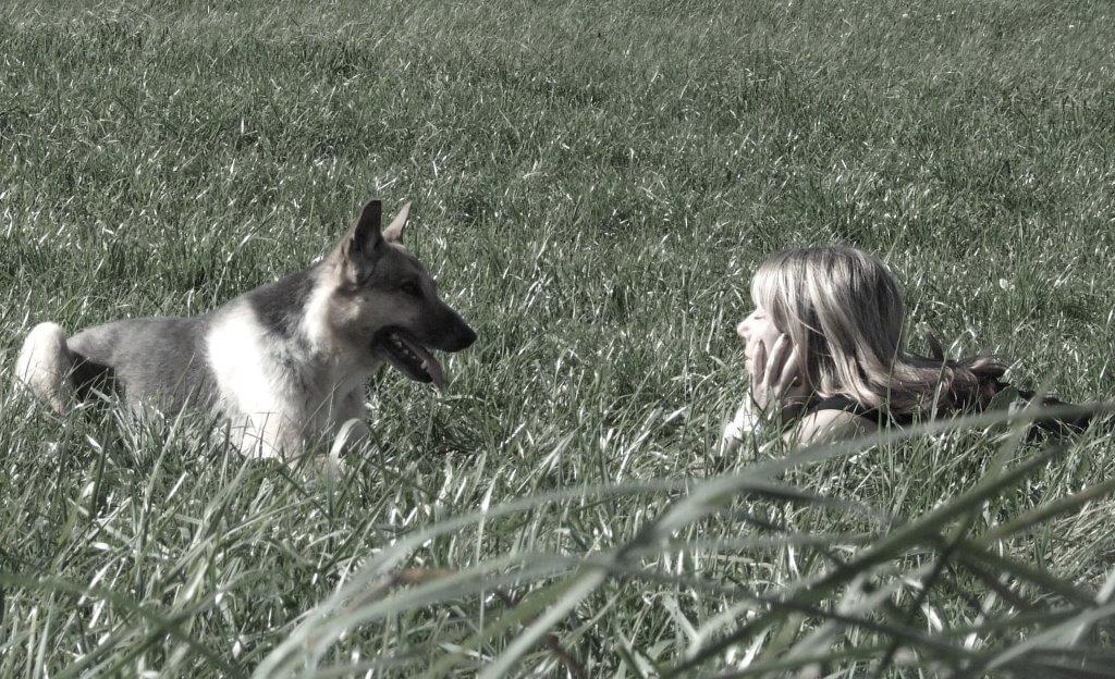 Tierkommunikation, Telepathie und Gedankenübertragung aktivieren