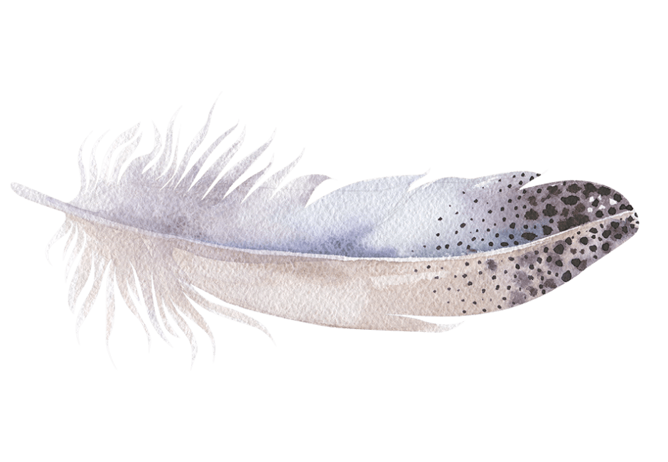 CHANNELING MEDIUM BOTSCHAFTEN DURCH E-MAIL BERATUNG, SPIRITUALITÄT UND HELLSEHEN