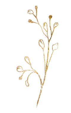 Katjaküsstandi Blume