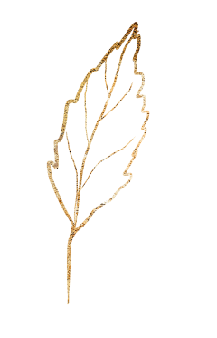 Katjaküsstandi Blume