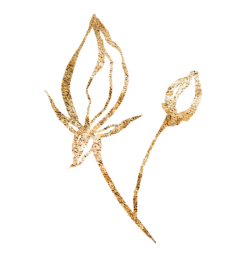 Katjaküsstandi Blume