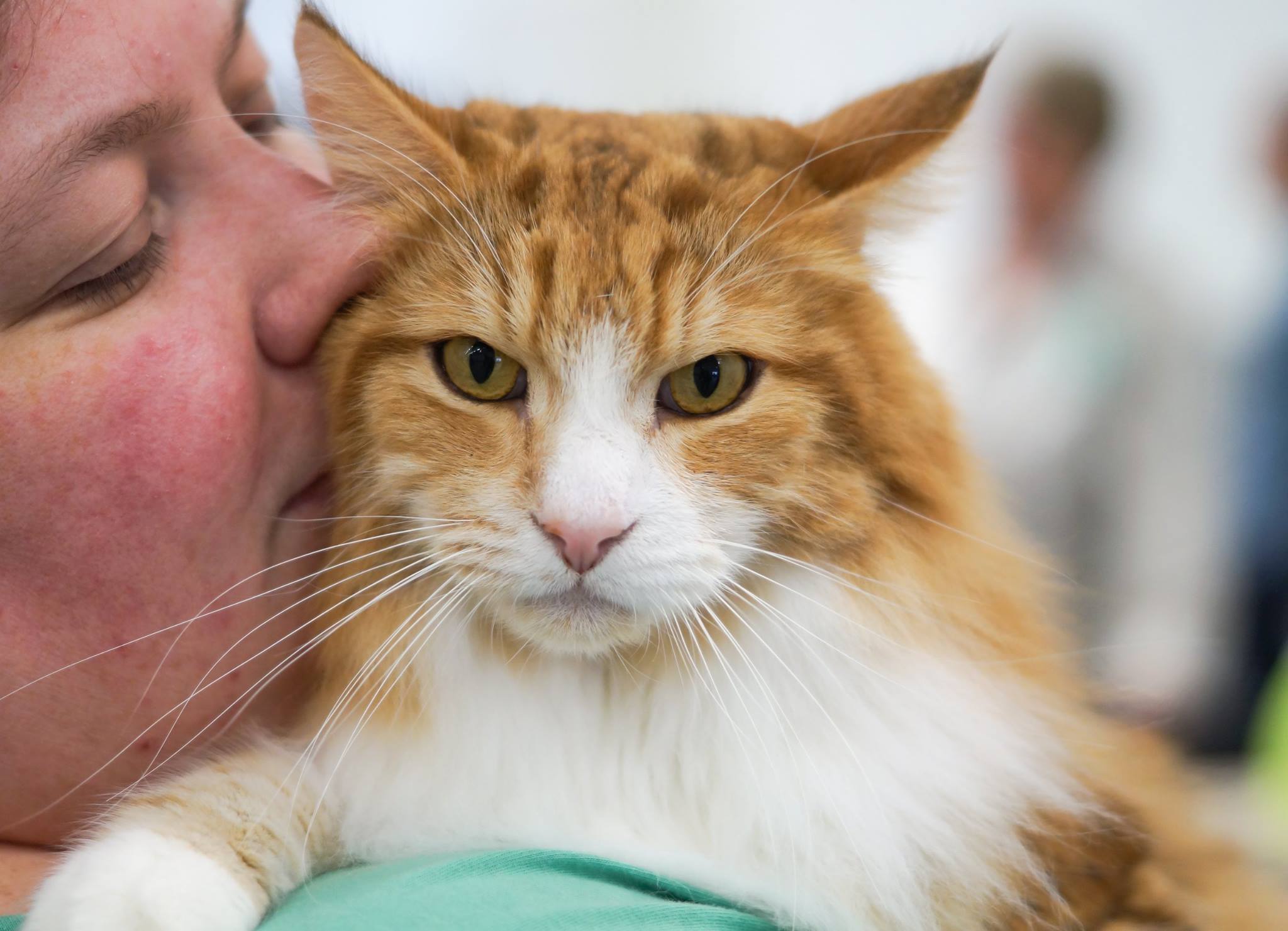 fotograf Johan Grinberg