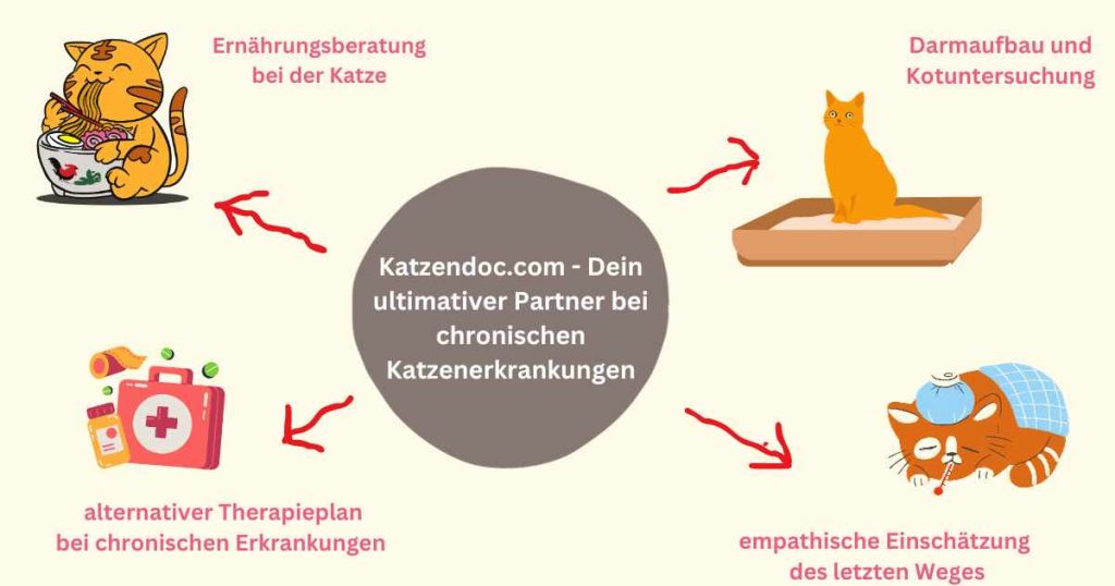 Grafik Katzendoc II