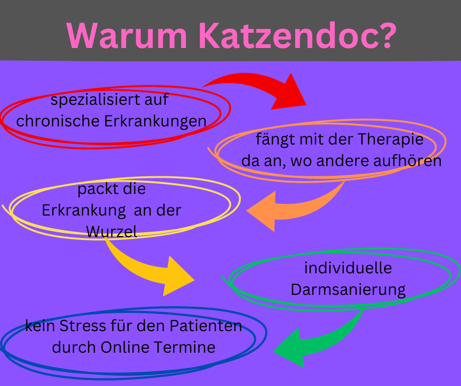 Warum Katzendoc Grafik