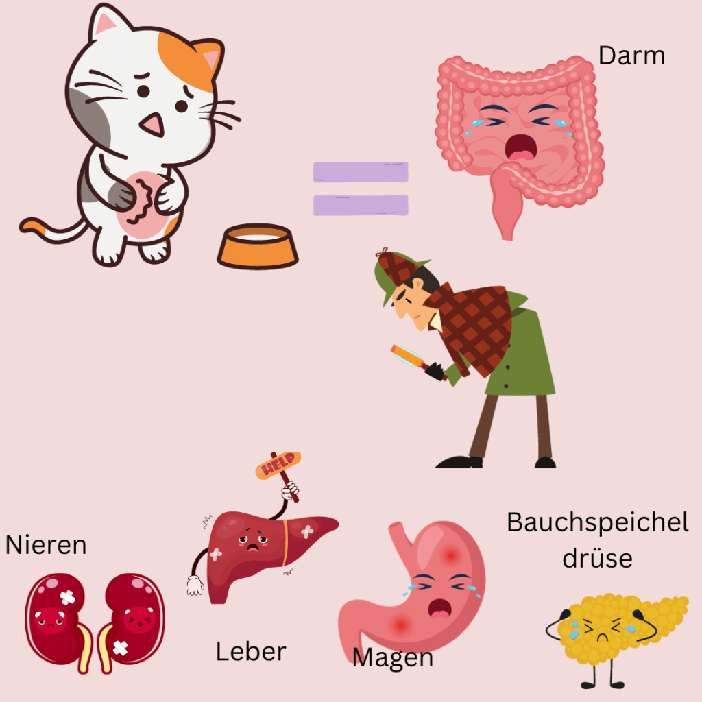 Katze Krankheiten Grafik