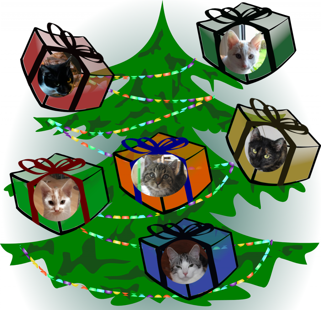 Grafik: Weihnachtsbaum mit Paketen, darauf Bilder von Katzen