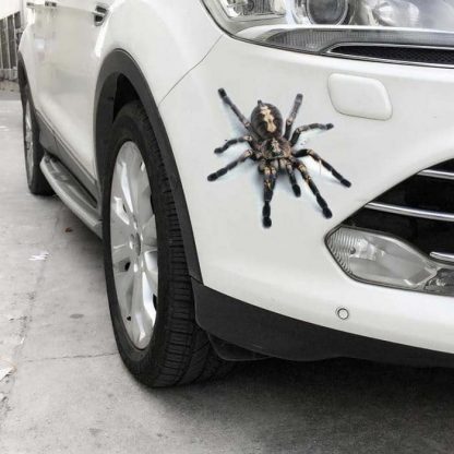 Autoaufkleber KFZ Sticker Beste Arten coole varianten – Bild 29