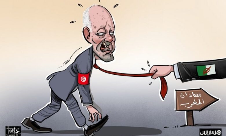 تقرير: تدخل الجزائر في الشأن التونسي يستغل فزاعة "الاستقرار الإقليمي"