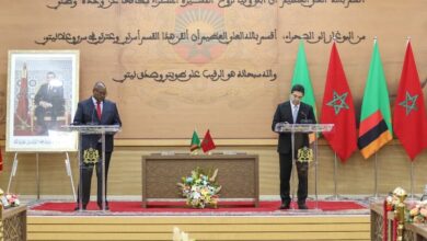 بوريطة: الدبلوماسية الملكية تضمن النجاحات في قضية الصحراء المغربية