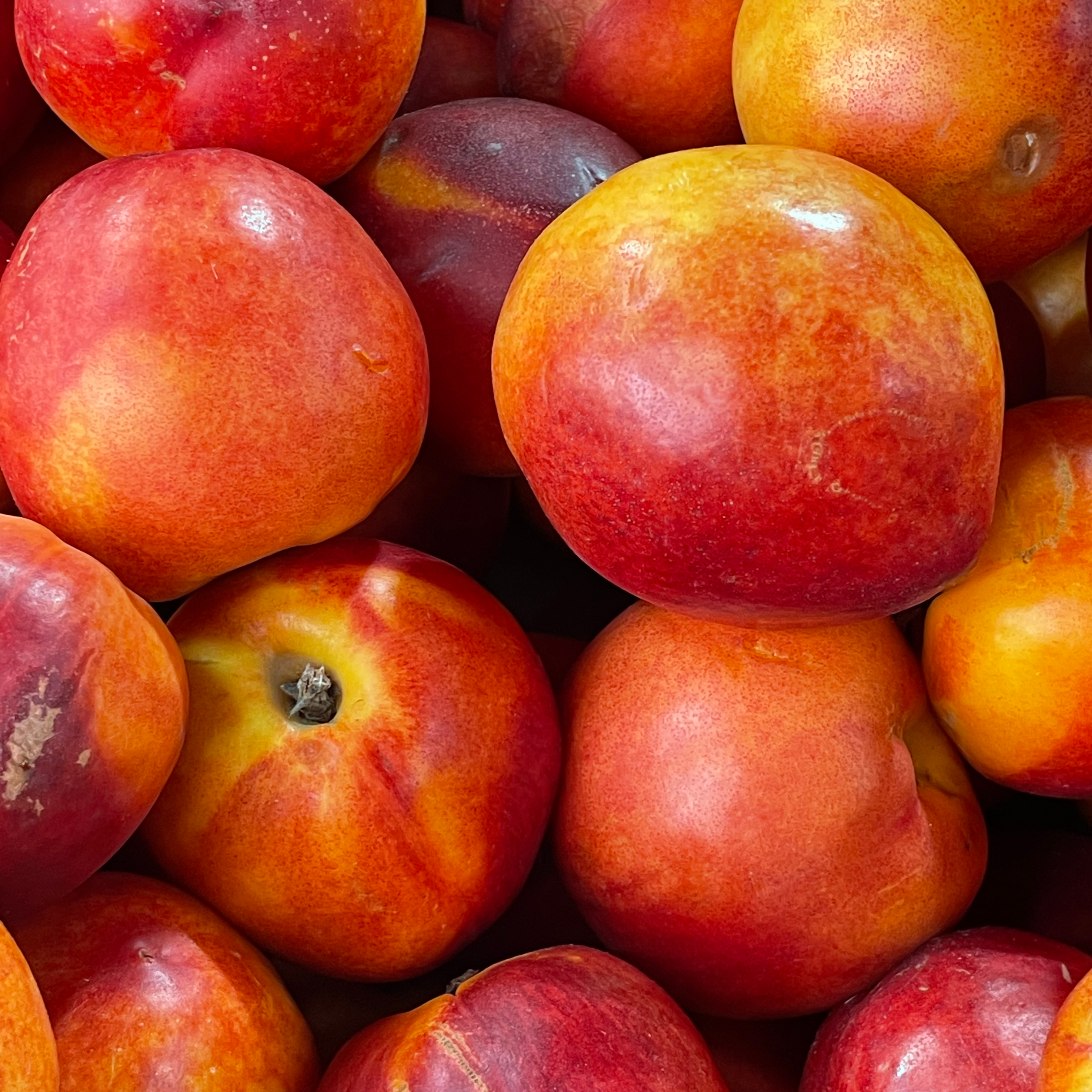 Nectarines 500g