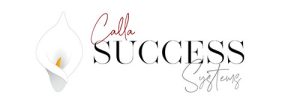 Call Success Logo