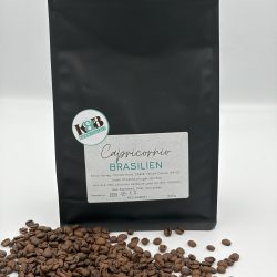 Brasilien - Capricornio medium