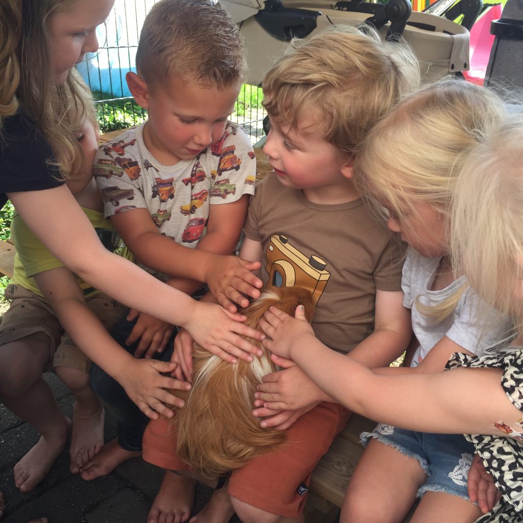 Kinderdagverblijf Kumari-cavia