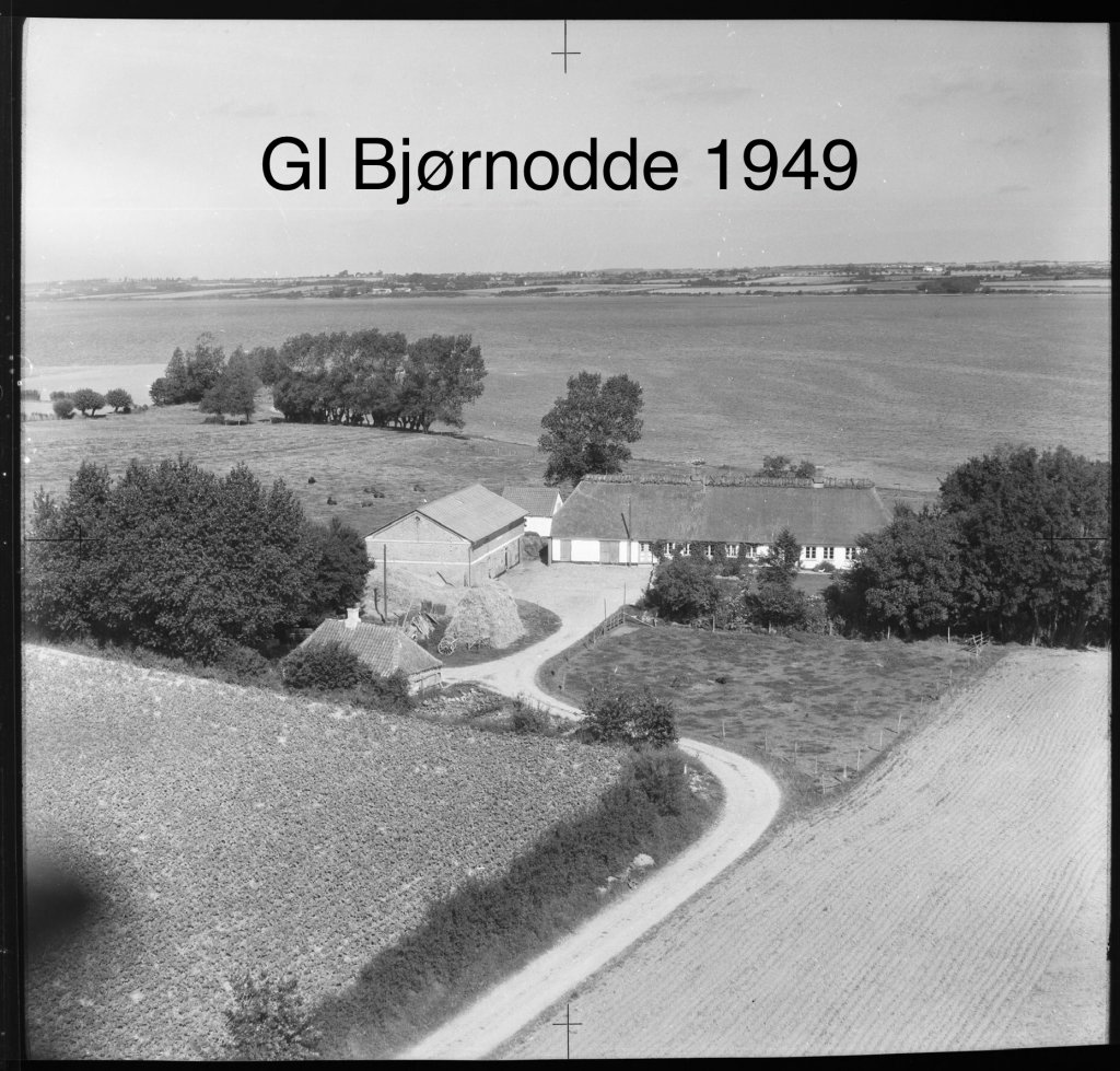 Gammel Bjørnodde - 1949