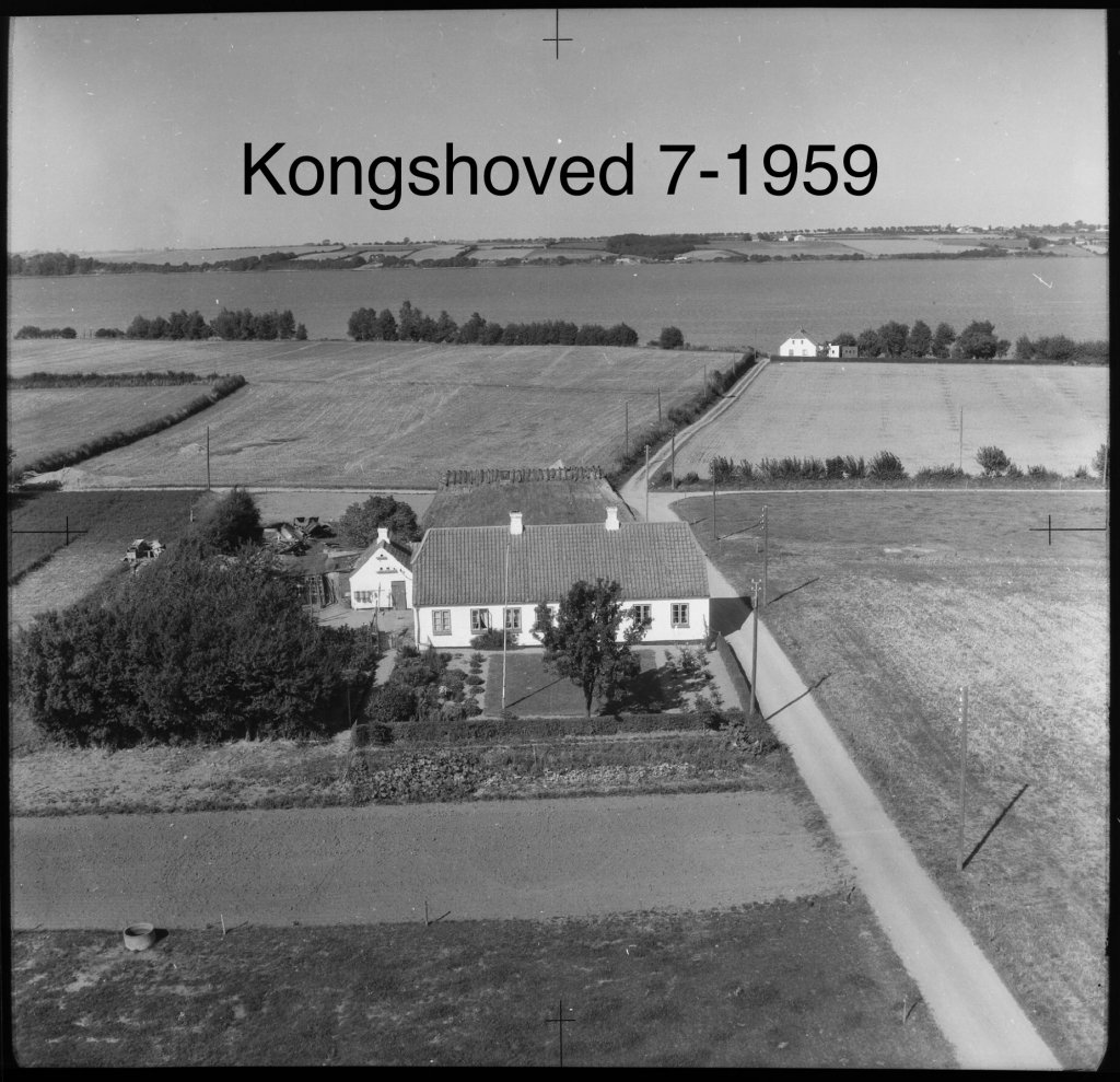 Kongshoved 7 - 1959