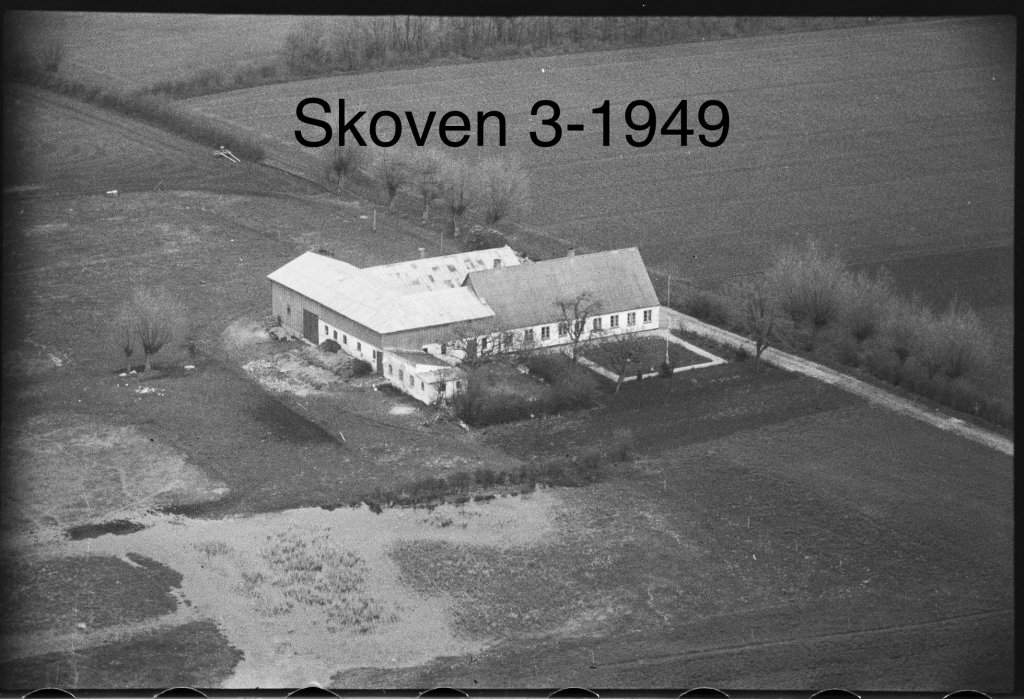 Skoven 3 - 1949