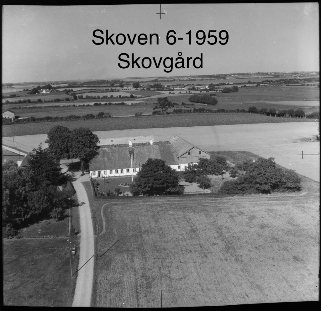 Skovgård, Skoven 3 - 1959