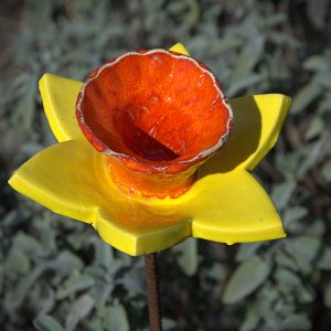 Narcis geel oranje
