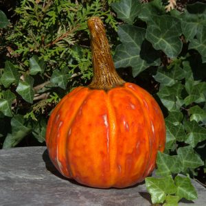 pompoen groot