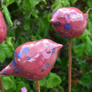 Limited edition cherry