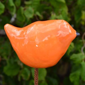 Koningsdag vogeltje