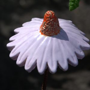 Zonnehoed lila