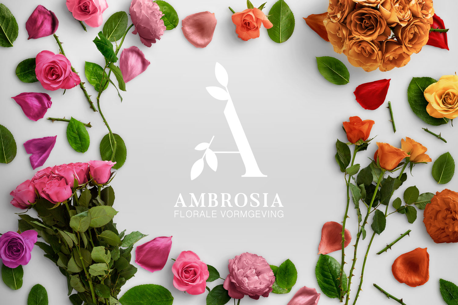 ambrosia-logo