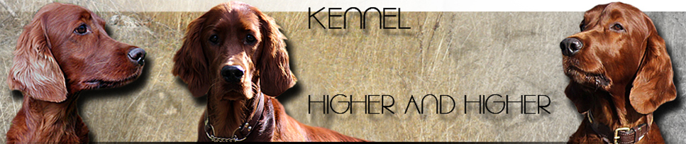 Kennel Higher and Higher