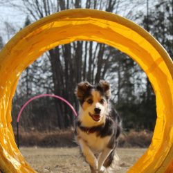 Zoe gultunnel