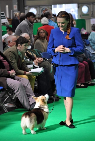 The World's Greatest Dog Show - Crufts 2022