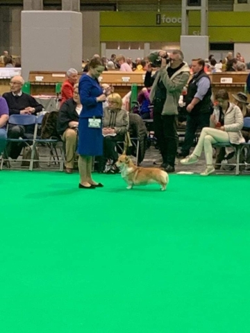 The World's Greatest Dog Show - Crufts 2022