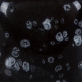 SC215 Speckled Tuxedo