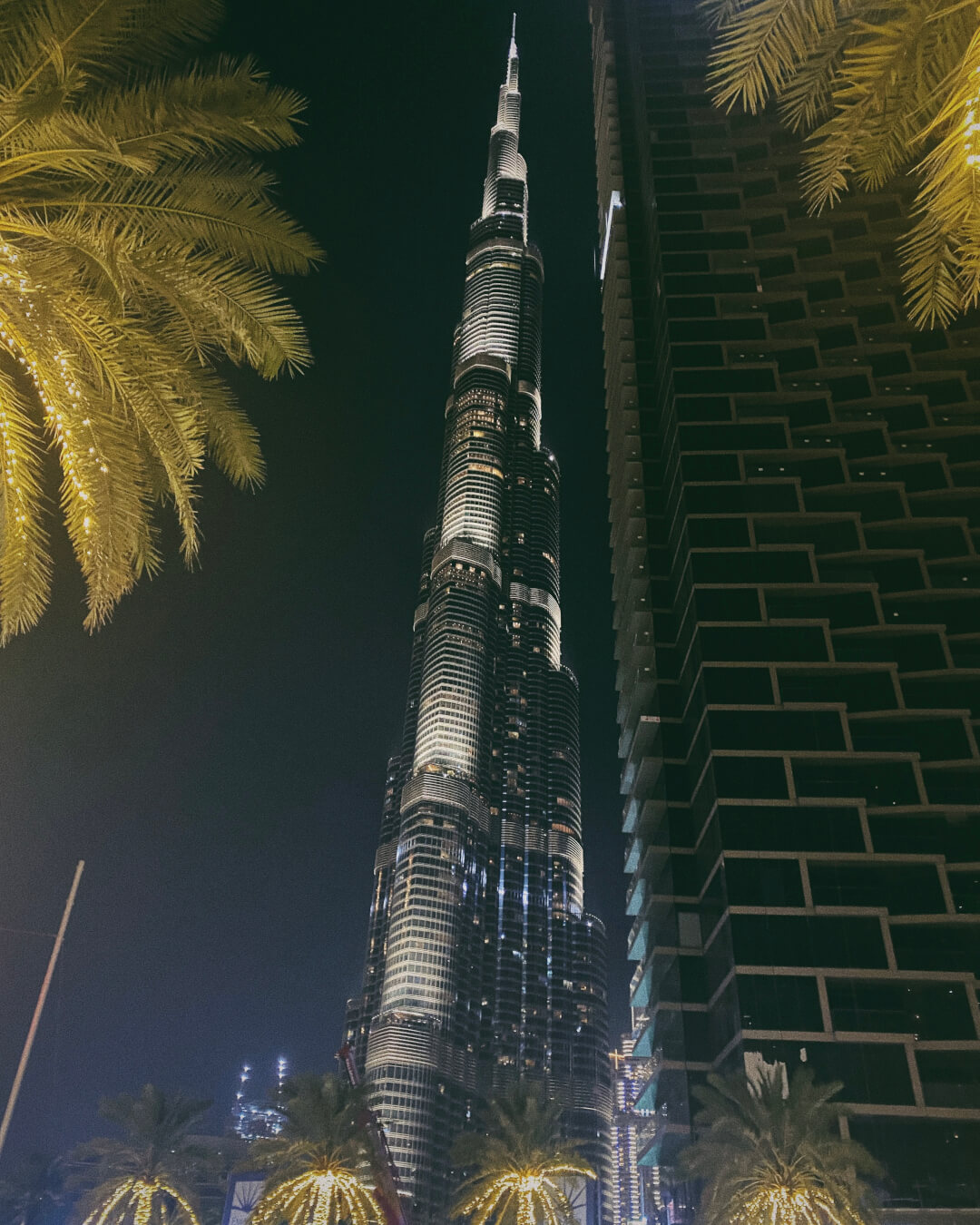 IMG_7582