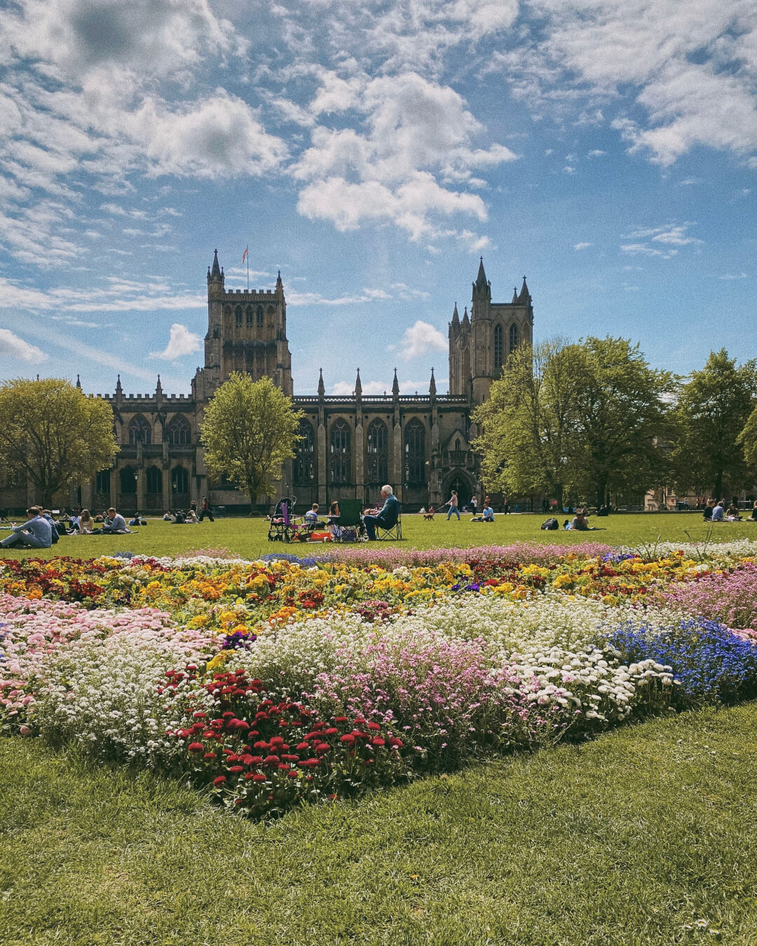 Colourful flowers in Bristol