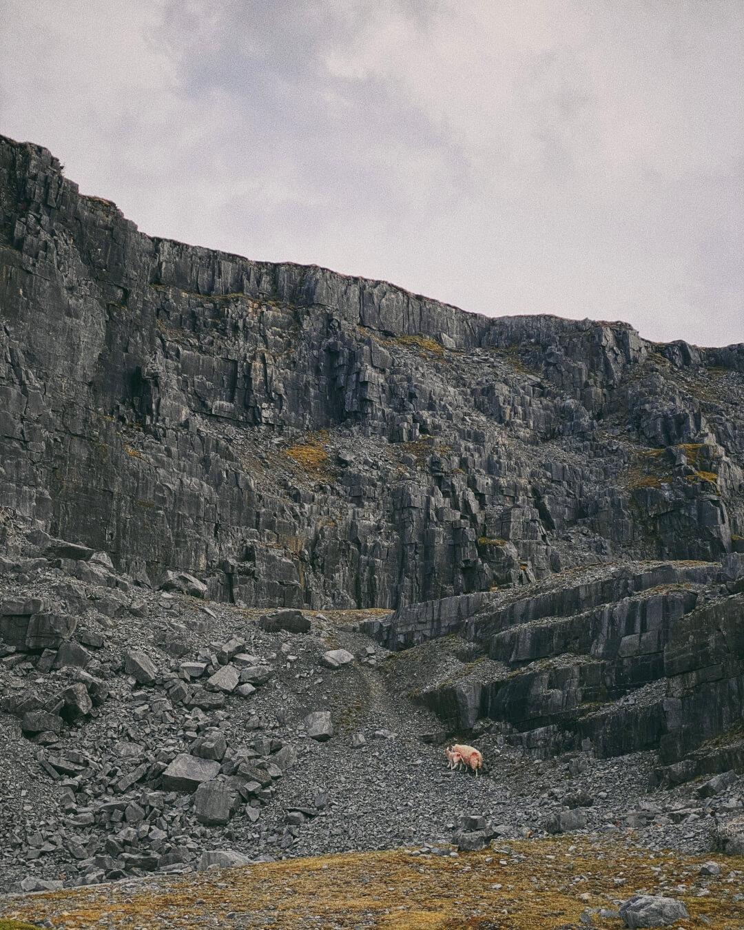 Herbert’s Quarry - Wales Herbert’s Quarry - Wales