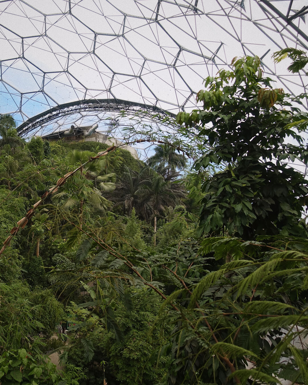 The Eden Project