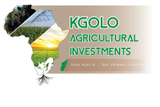 Kgolo logo