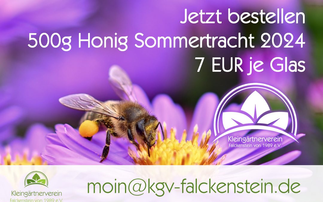 Honig: Sommertracht 2024