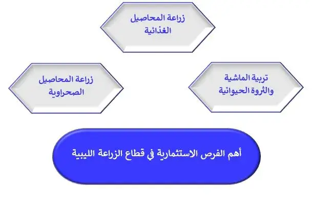 مزايا قطاع الزراعة في ليبيا