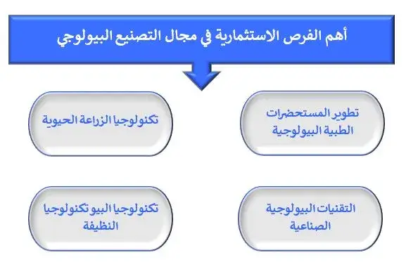 أهم الفرص الاستثمارية