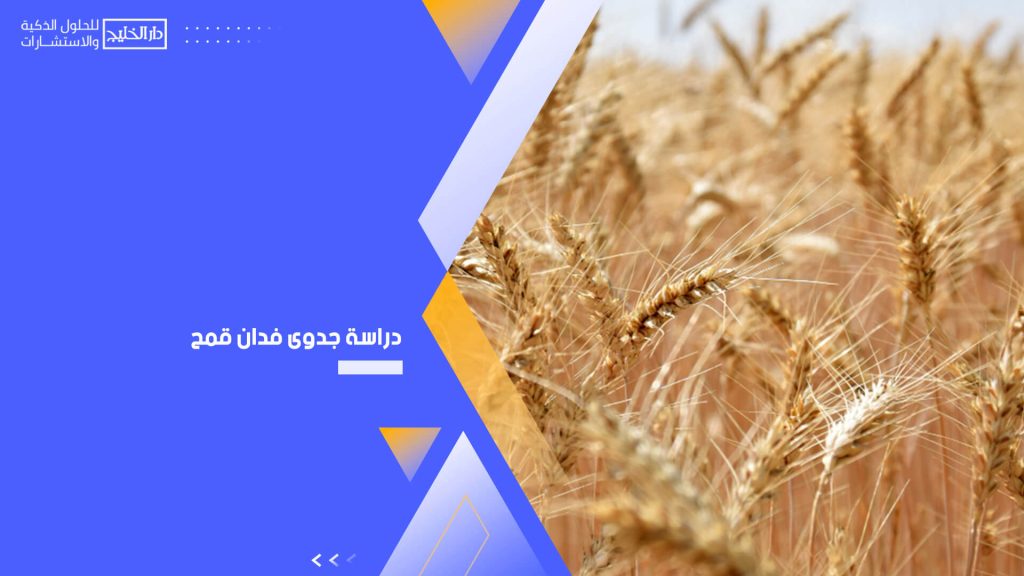 دراسة جدوى فدان قمح