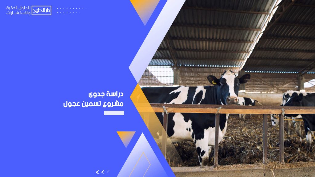 دراسة جدوى مشروع تسمين عجول